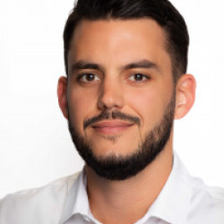 François Nédélec